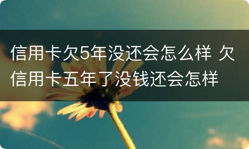 信用卡欠5年没还会怎么样 欠信用卡五年了没钱还会怎样