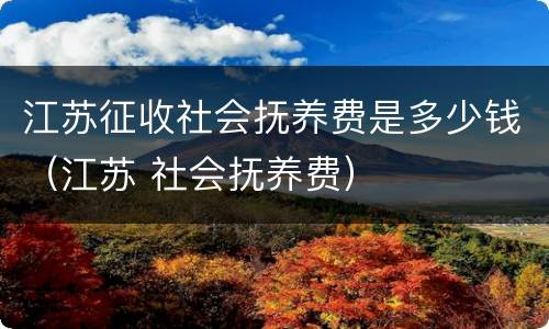江苏征收社会抚养费是多少钱（江苏 社会抚养费）