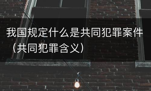 我国规定什么是共同犯罪案件（共同犯罪含义）