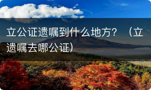 立公证遗嘱到什么地方？（立遗嘱去哪公证）