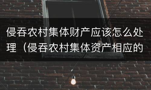 侵吞农村集体财产应该怎么处理（侵吞农村集体资产相应的罪名）