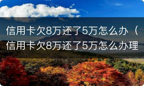 信用卡欠8万还了5万怎么办（信用卡欠8万还了5万怎么办理）