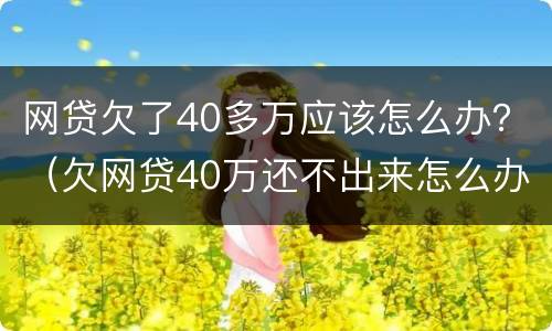 网贷欠了40多万应该怎么办？（欠网贷40万还不出来怎么办）