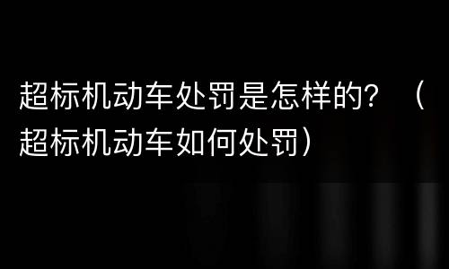 超标机动车处罚是怎样的？（超标机动车如何处罚）
