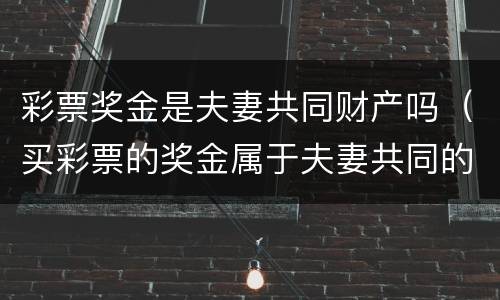 彩票奖金是夫妻共同财产吗（买彩票的奖金属于夫妻共同的吗）