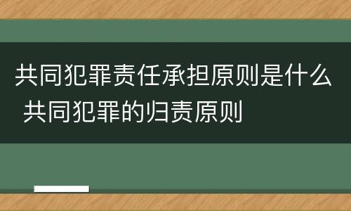 共同犯罪责任承担原则是什么 共同犯罪的归责原则