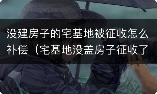 没建房子的宅基地被征收怎么补偿（宅基地没盖房子征收了,但是村里和政府都不给予补偿）