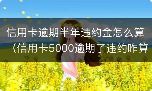信用卡逾期半年违约金怎么算（信用卡5000逾期了违约咋算）