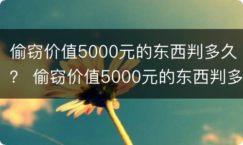 偷窃价值5000元的东西判多久？ 偷窃价值5000元的东西判多久呢