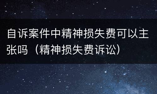 自诉案件中精神损失费可以主张吗（精神损失费诉讼）