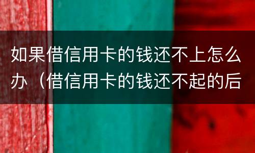 如果借信用卡的钱还不上怎么办（借信用卡的钱还不起的后果怎样）
