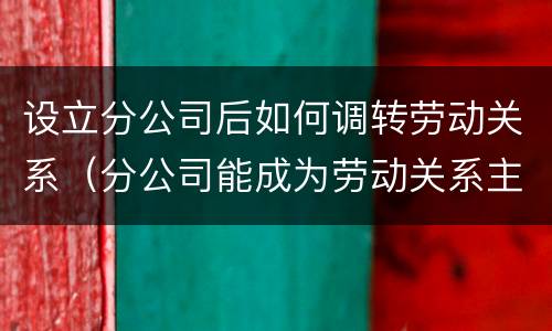 设立分公司后如何调转劳动关系（分公司能成为劳动关系主体吗）