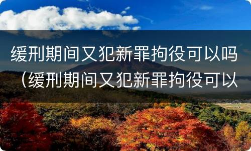 缓刑期间又犯新罪拘役可以吗（缓刑期间又犯新罪拘役可以吗）