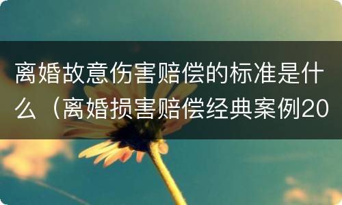 离婚故意伤害赔偿的标准是什么（离婚损害赔偿经典案例2021）