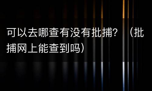 可以去哪查有没有批捕？（批捕网上能查到吗）