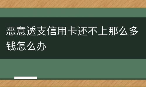 恶意透支信用卡还不上那么多钱怎么办