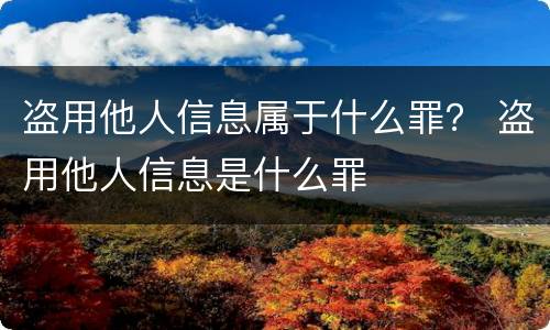 盗用他人信息属于什么罪？ 盗用他人信息是什么罪