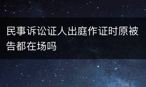 民事诉讼证人出庭作证时原被告都在场吗