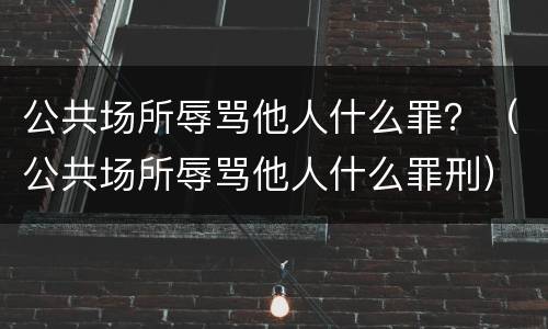 公共场所辱骂他人什么罪？（公共场所辱骂他人什么罪刑）