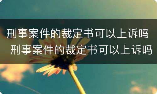 刑事案件的裁定书可以上诉吗 刑事案件的裁定书可以上诉吗