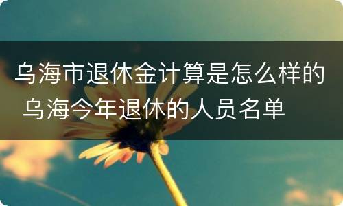 乌海市退休金计算是怎么样的 乌海今年退休的人员名单