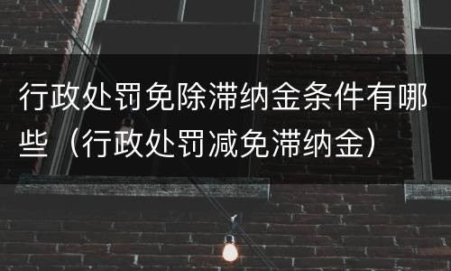 行政处罚免除滞纳金条件有哪些（行政处罚减免滞纳金）
