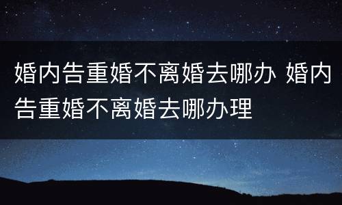 婚内告重婚不离婚去哪办 婚内告重婚不离婚去哪办理