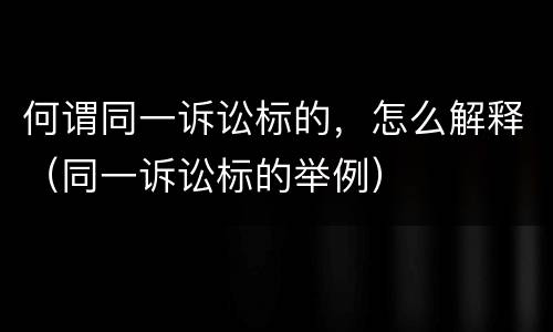 何谓同一诉讼标的，怎么解释（同一诉讼标的举例）