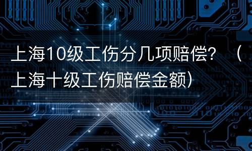 上海10级工伤分几项赔偿？（上海十级工伤赔偿金额）