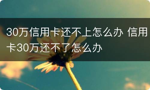 30万信用卡还不上怎么办 信用卡30万还不了怎么办