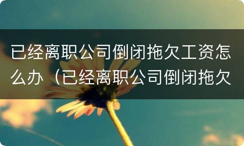 已经离职公司倒闭拖欠工资怎么办（已经离职公司倒闭拖欠工资怎么办理）