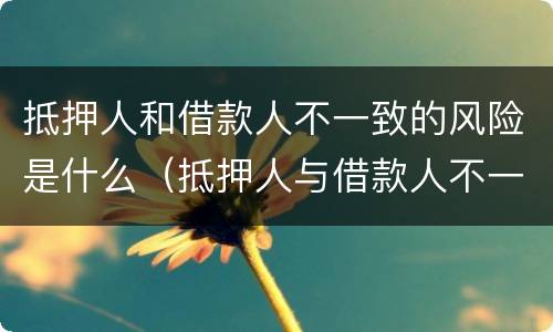 抵押人和借款人不一致的风险是什么（抵押人与借款人不一致,抵押物如何处置）