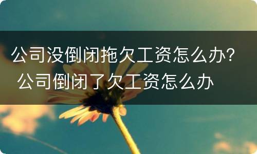 公司没倒闭拖欠工资怎么办？ 公司倒闭了欠工资怎么办