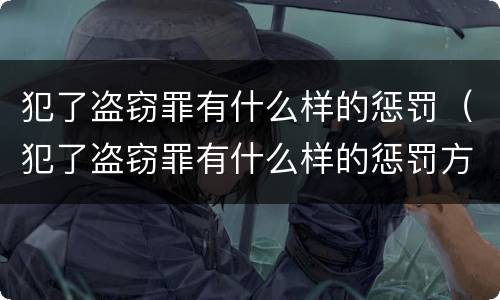 犯了盗窃罪有什么样的惩罚（犯了盗窃罪有什么样的惩罚方法）