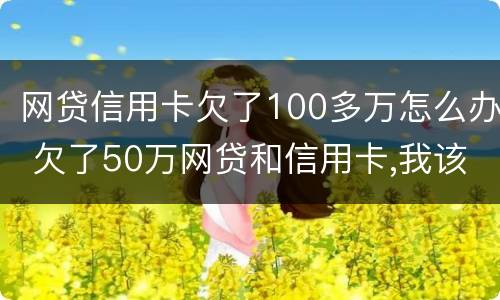网贷信用卡欠了100多万怎么办 欠了50万网贷和信用卡,我该怎么去上岸