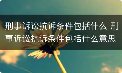 刑事诉讼抗诉条件包括什么 刑事诉讼抗诉条件包括什么意思