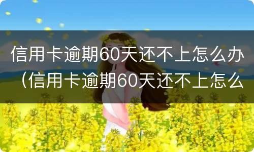 信用卡逾期60天还不上怎么办（信用卡逾期60天还不上怎么办呀）