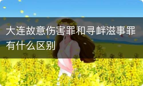 大连故意伤害罪和寻衅滋事罪有什么区别