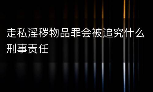 走私淫秽物品罪会被追究什么刑事责任