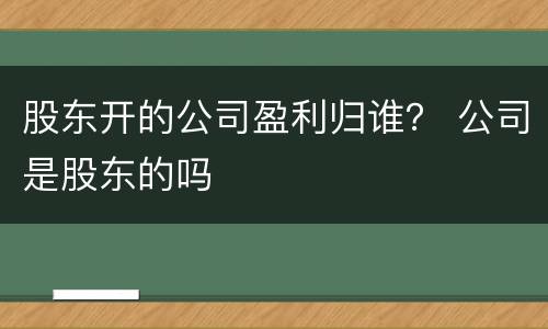 股东开的公司盈利归谁？ 公司是股东的吗