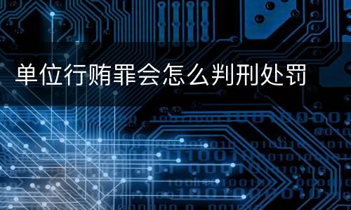 单位行贿罪会怎么判刑处罚