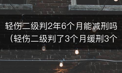 轻伤二级判2年6个月能减刑吗（轻伤二级判了3个月缓刑3个月）