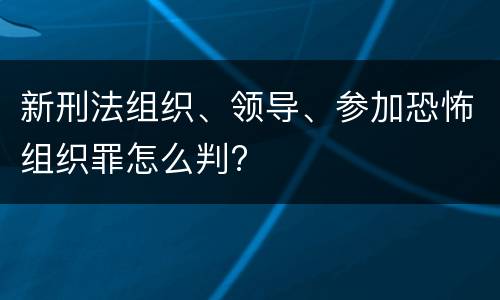 新刑法组织、领导、参加恐怖组织罪怎么判?