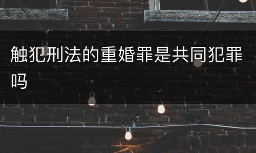 触犯刑法的重婚罪是共同犯罪吗