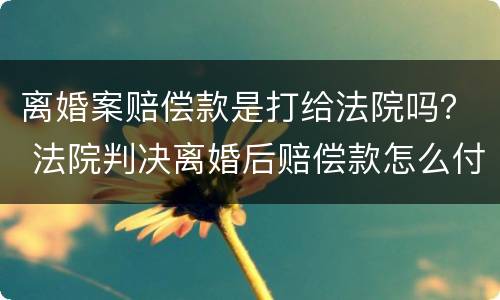 离婚案赔偿款是打给法院吗？ 法院判决离婚后赔偿款怎么付