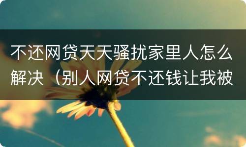 不还网贷天天骚扰家里人怎么解决（别人网贷不还钱让我被天天骚扰该怎么办?）