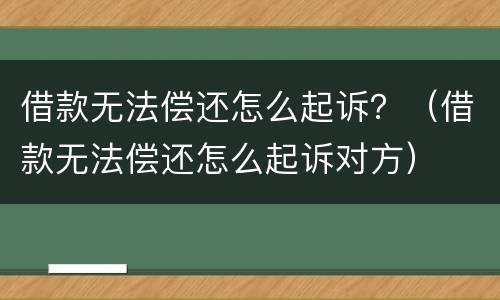 借款无法偿还怎么起诉？（借款无法偿还怎么起诉对方）