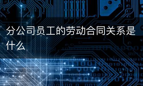 分公司员工的劳动合同关系是什么