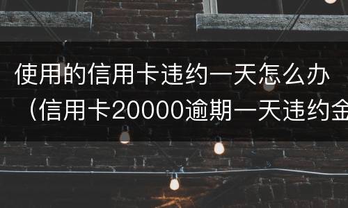 使用的信用卡违约一天怎么办（信用卡20000逾期一天违约金）