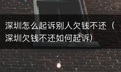 深圳怎么起诉别人欠钱不还（深圳欠钱不还如何起诉）
